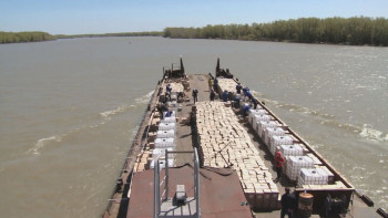 Фотография к новости: Ертіс өңірінде шыбын-шіркеймен күрес жұмыстары тиімділігін көрсетті