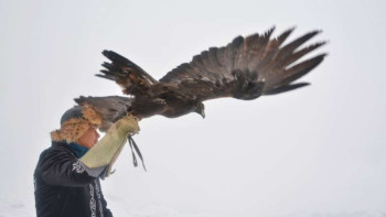 Фотография к новости: «Шығыс салбурыны» сайысы биыл халықаралық дәрежеде өтті