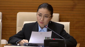 Фотография к новости: Бетті бастық, қатты састық: Депутат бейәдеп фильмдер мен бейнеконтенттерді сынға алды