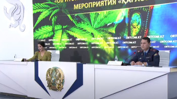 Фотография к новости: Қылмыс: Қарасора өсіруден көш бастаған өңірлер