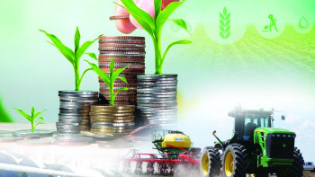 Фотография к новости: Министр ауыл шаруашылығы дамып келе жатқан өңірлерді атады