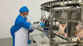 Фотография к новости: Солтүстік Қазақстанда ірі құс фабрикасы ашылды