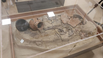 Фотография к новости: Астанада «Берел» ғылыми-зерттеу қоры ашылды