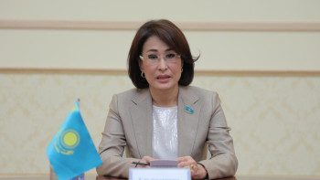 Фотография к новости: Медициналық орталықтарда жас босанған аналарға жағдай жасалмаған – депутат