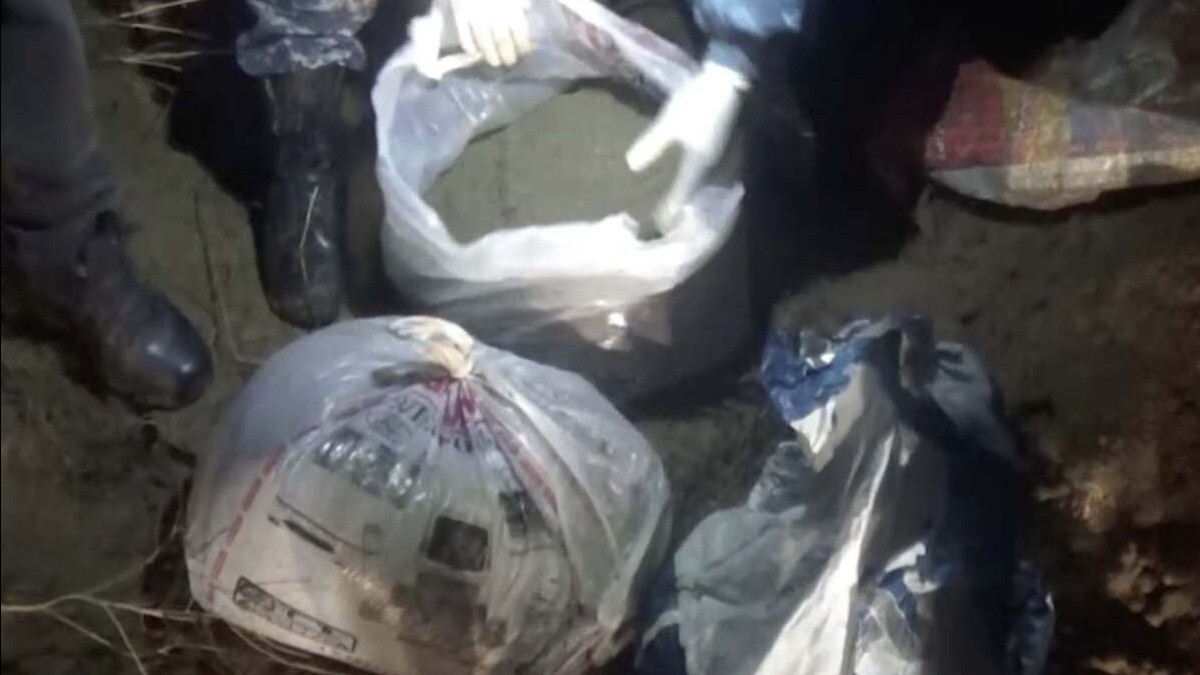 Жамбылдық полицейлер 130 келіден астам марихуана сақтаған есірткі сатушыны ұстады