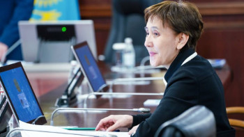 Фотография к новости: Қандастарға елімізде өз кәсібін жүргізуге мүмкіндік беріледі - Дүйсенова