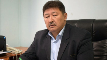 Фотография к новости: Иттер туралы заң бар. Қаңғыбас жануарлар қорғауды қажет етеді