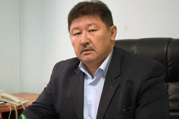 Фотография к новости: Иттер туралы заң бар. Қаңғыбас жануарлар қорғауды қажет етеді