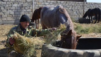 Фотография к новости: Қызылордалық кәсіпкердің еңбегі көпке үлгі болып келеді