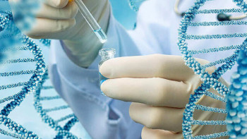 Фотография к новости: ДНҚ-сынаманың көмегімен артық салмақтан арылуға болады – ғалым