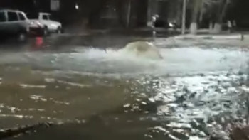 Фотография к новости: Петропалда құбыр жарылып, бірнеше аудан тұрғындары сусыз қалды