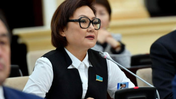 Фотография к новости: «Оған арнайы бюджет жоқ». Дана Нұржігіт неге депутаттардың әлеуметтік желіде белсенді емес екенін айтты