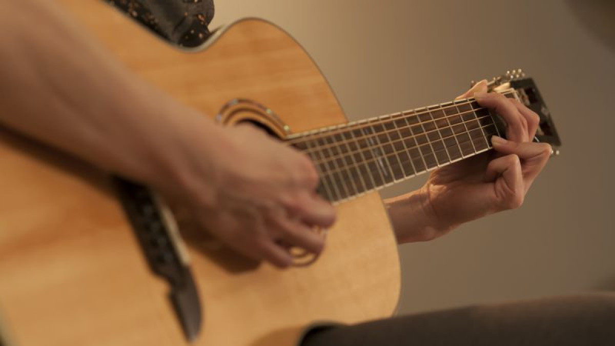 Астана тұрғыны бардан гитара ұрлап кеткен
