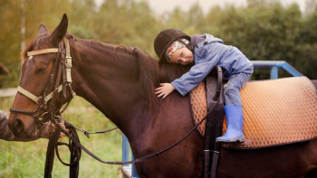 Фотография к новости: Елімізде иппотерапия маманын даярлайтын оқу орны жоқ – маман