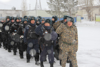 Фотография к новости: Профессионалдар. Командир