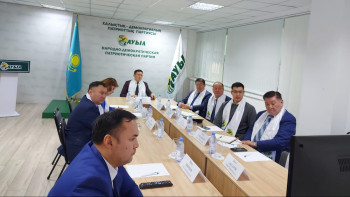 Фотография к новости: Баламның өмірі маңыздырақ: Әкім қаңғыбас иттер мәселесін көтерді