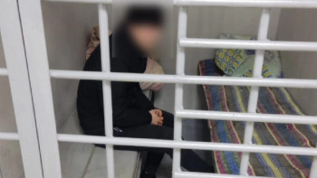 Фотография к новости: ІІМ лифтіде мысықты тепкілеген бұзақы туралы айтты