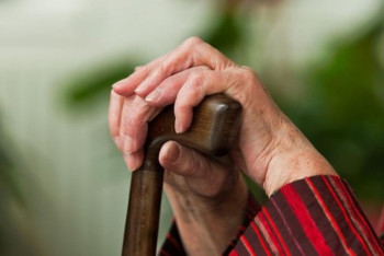 Фотография к новости: Министр әйелдердің зейнет жасын төмендетуге қатысты ұсынысқа жауап берді