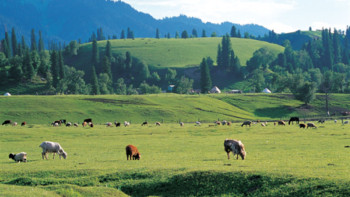Фотография к новости: Министр халықты жайылыммен қамтамасыз ету үшін не істелгенін айтты