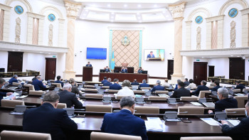 Фотография к новости: 20 млрд теңге қажет. Сенатор Үкіметтен неге ақша сұрады?