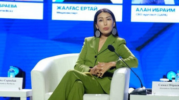 Фотография к новости: Самал Ибраева: Ұлысмедиаға жасалған шабуыл бірінші рет емес