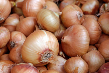 Фотография к новости: Пияз қымбаттап кеткен. Қарашөкеев пияз бағасы қалай реттелетінін айтты