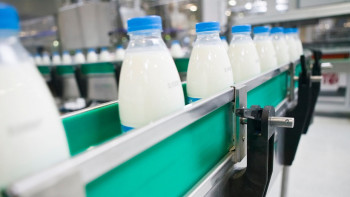 Фотография к новости: Қай өңірде сүт өндірісі жақсы дамыған?