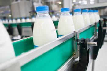 Фотография к новости: Қай өңірде сүт өндірісі жақсы дамыған?