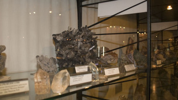 Фотография к новости: Павлодарда қоғам белсенділері геологиялық музей ашты