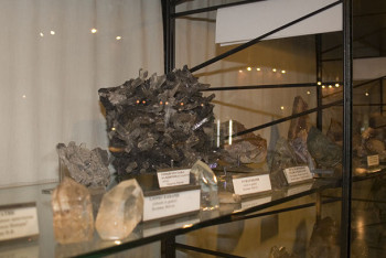 Павлодарда қоғам белсенділері геологиялық музей ашты