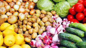 Фотография к новости: Министр елде былтырдан қалған қанша көкөніс қоры барын айтты