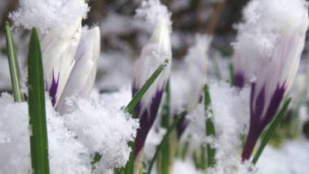Фотография к новости: Наурыз айында ауа райы қандай болады