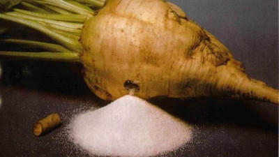 Қант, су, қызылша. Сарапшы тапшылық болмас үшін не істеу керегін айтты