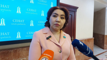 Фотография к новости: Қатаң жазалануы тиіс: Сенатор журналиске жасалған қастандыққа қатысты пікір білдірді