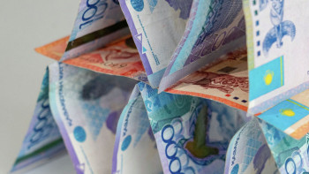 Фотография к новости: 5000 теңге салып, көп адамды қосу керек. Үй «алып беретін» финпирамида анықталды