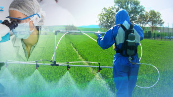 Фотография к новости: Фитосанитарлық қауіпсіздікті қамтамасыз ету саласындағы проблемалар қандай?