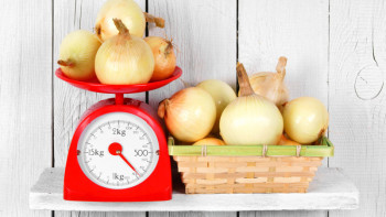 Фотография к новости: Сіздер айтпасаңыздар, білмейтін еді: Министр пияз бағасына журналистерді кінәлады ма?