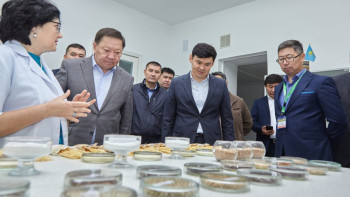 Фотография к новости: Ғылымның эпицентрі