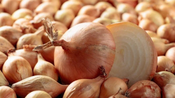 Фотография к новости: Пияз бағасы. Министр қазақстандықтарды сабырға шақырды