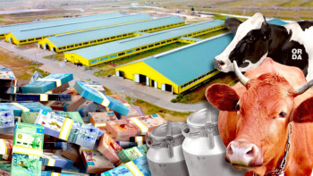 Фотография к новости: Фермерлер жүйедегі ақаулық салдарынан субсидия ала алмай отыр