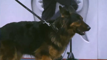 Фотография к новости: Құтқарушы "Мирта"