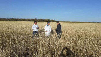 Фотография к новости: Ғылымсыз агро немесе ауыспалы егістік ауадай қажет