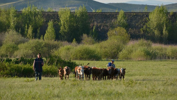 Фотография к новости: Биыл 5 млн гектар жер мемлекет меншігіне қайтарылады