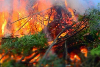 Дала және орман өрттерінен келген шығын 111 млн теңгені құрады