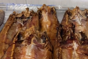 Фотография к новости: Көксерке мен жайын балығының экспортына шектеу қойылады