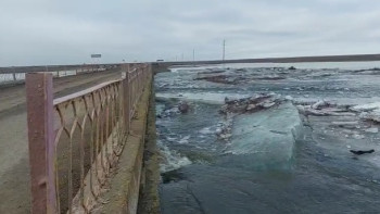 Фотография к новости: Оралдықтарды қарғын су әбігерге салып жатыр