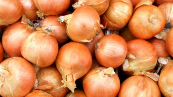 Фотография к новости: Пияз қайтадан экспорттала ма?