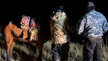 Фотография к новости: Адасқан малшы аман табылды