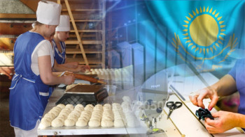 Фотография к новости: Шағын, орта кәсіпкерліктің үлесі 15 пайызға жетпейді – «Байтақ» партиясы төрағасы