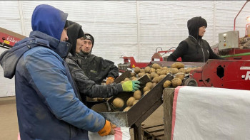 Фотография к новости: Қазақстанда 26 жаңа көкөніс қоймасы бой көтереді